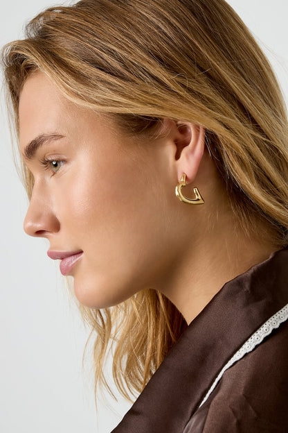 Hoop Earrings Heart Casual Daily Simple Series Women's jewelry