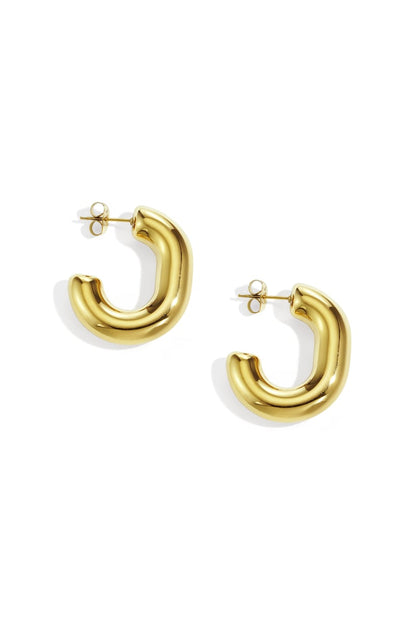 Stainless Steel Hoop Earrings irregular shape Casual Daily Simple Series Women's jewelry